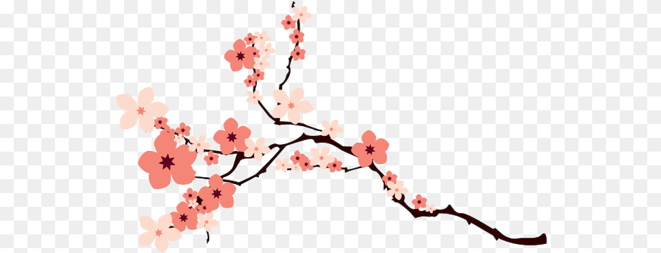 Crazypng Cherry Blossom Clipart Transparent, Flower, Plant, Cherry Blossom Free Png