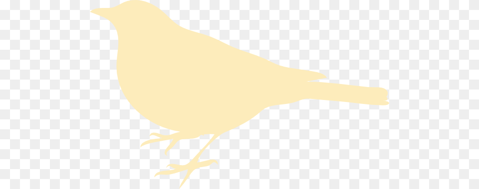 Cream Bird Clip Art, Animal, Canary Png Image