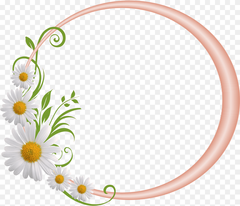 Cream Round Frame With Daisies Flower Round Frames, Daisy, Plant, Pattern, Art Png