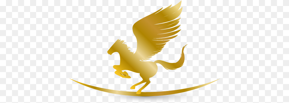 Create A Logo Pegasus Logo Templates Gold Pegasus For Photoshop, Face, Head, Person, Animal Free Png Download