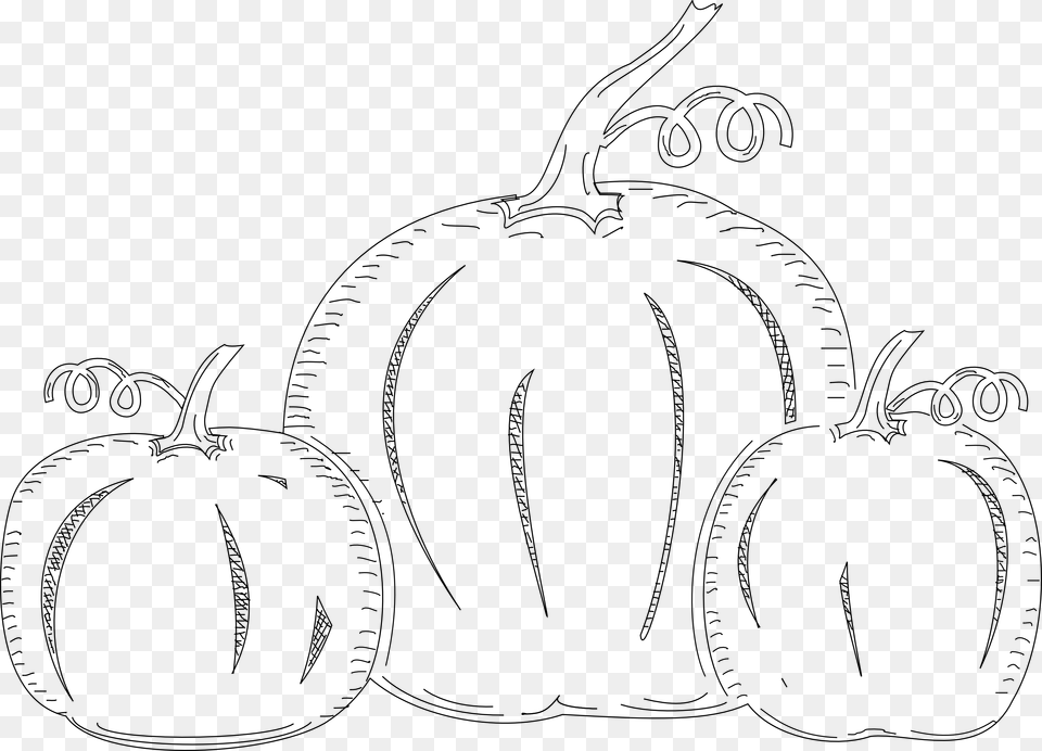 Create Sketches With Inkscape Line Art, Food, Plant, Produce, Pumpkin Free Transparent Png