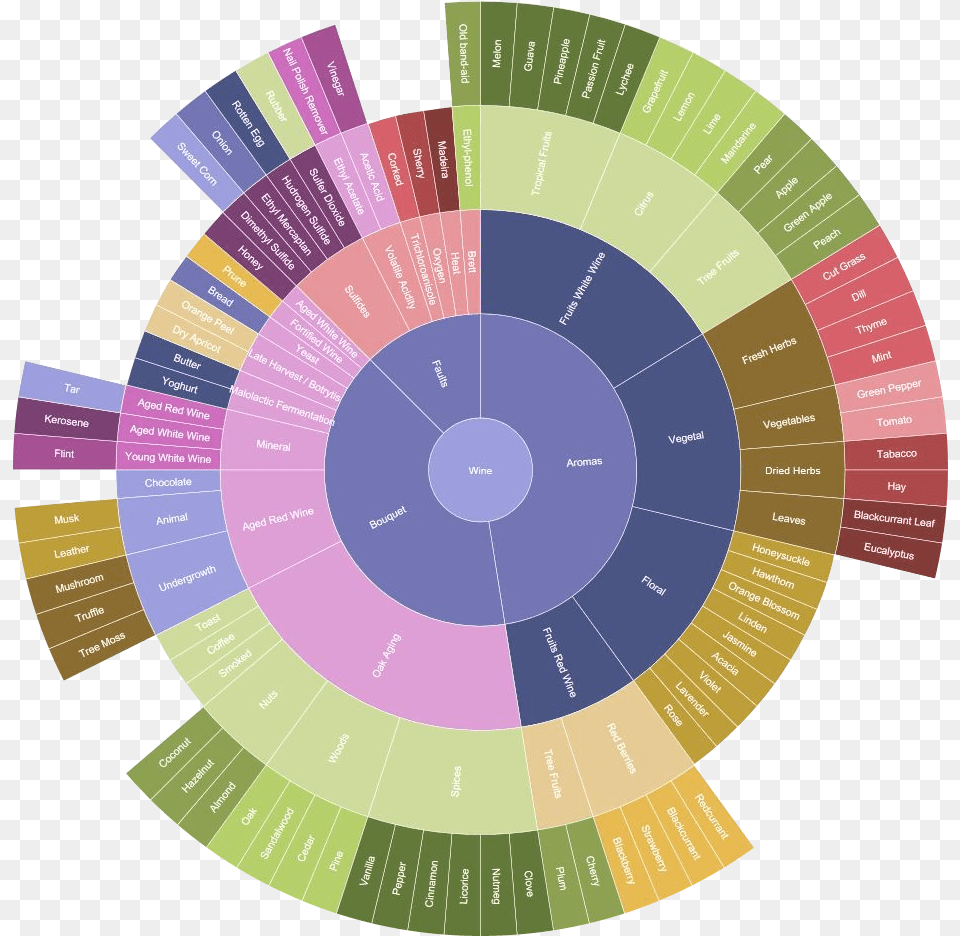 Create Sunburst Chart Online, Disk, Business Card, Paper, Text Free Transparent Png