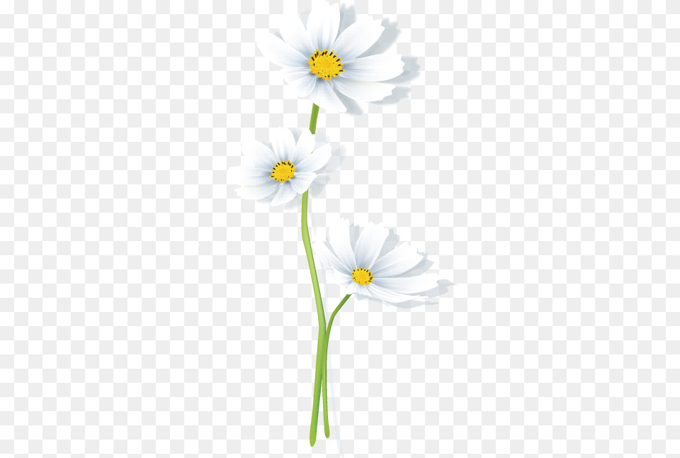 Create Your Own Flower Logo Free Daisy Logo Templates Oxeye Daisy, Anemone, Anther, Plant, Petal Png Image