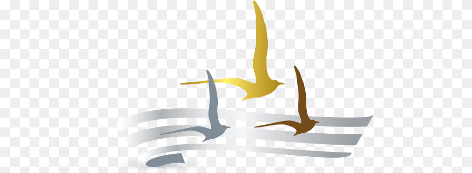 Create Your Own Seagulls Logo Online Using Maker Bird, Person, Cutlery Free Png