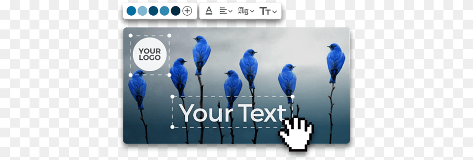 Create Your Own Twitter Image Easily And Just In Seconds Birds On Pussy Willows, Animal, Bird, Bluebird, Jay Free Png Download