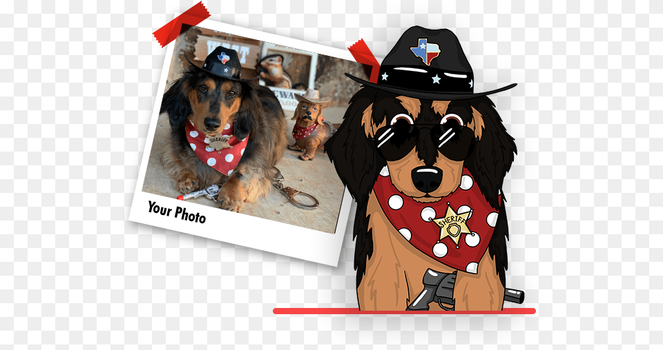 Create Your Pet Emoji To Share In Messages Doggymojis Services Companion Dog, Accessories, Clothing, Hat, Animal Free Png Download