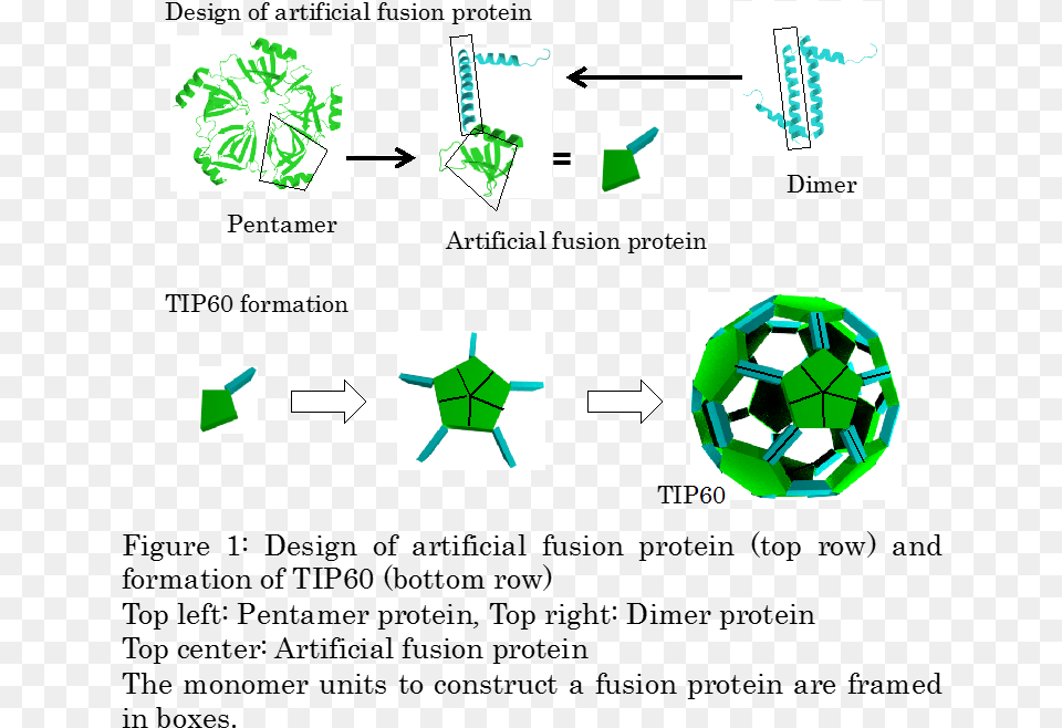 Creating Nanoscale Quotsoccer Ball Shaped Moleculesquot With Nanomaterials, Green, Recycling Symbol, Symbol, Accessories Png Image