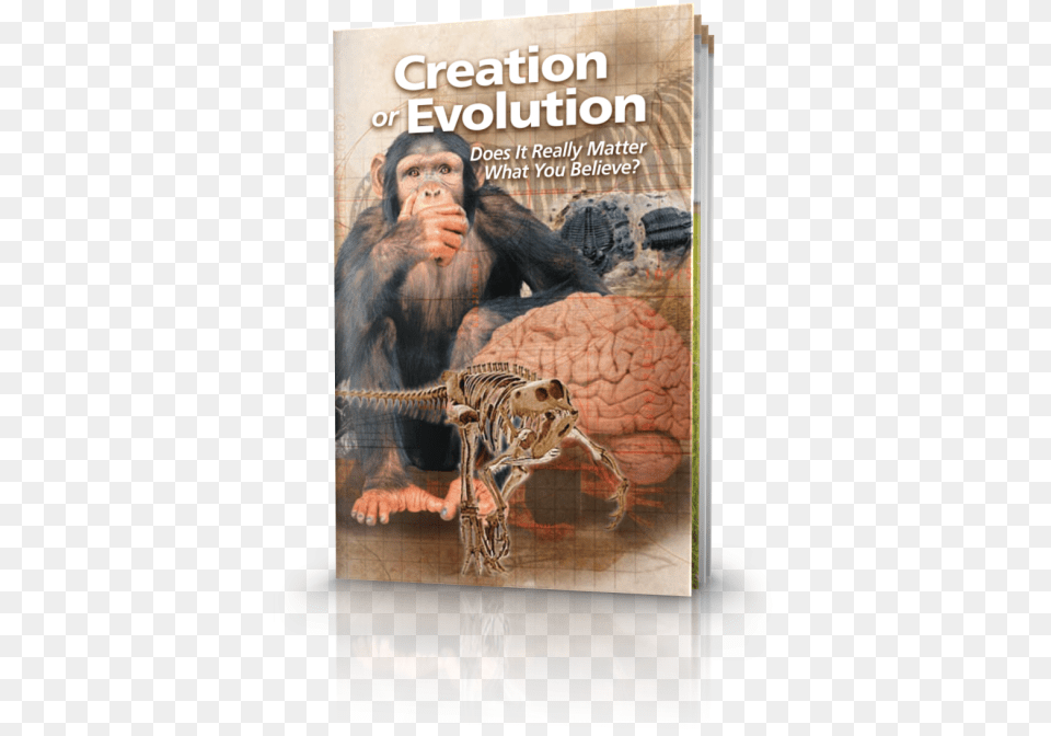 Creation Or Evolution Do You Believe In Creation, Book, Publication, Mammal, Animal Free Png