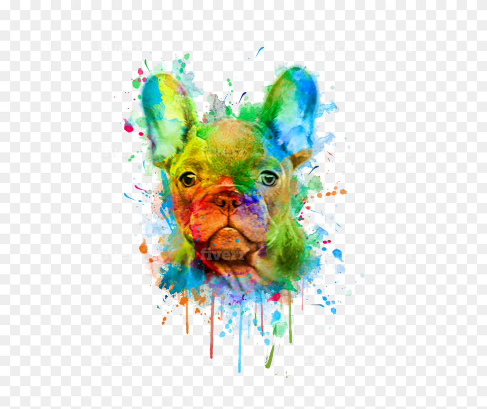 Creative Arts, Animal, Bulldog, Canine, Dog Free Transparent Png
