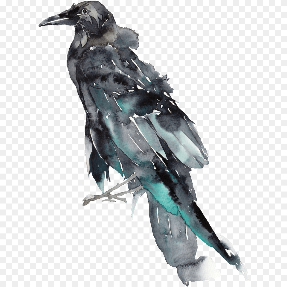 Creative Bird Ink Painting Watercolor Watercolor Painting, Person, Animal, Crow Png Image