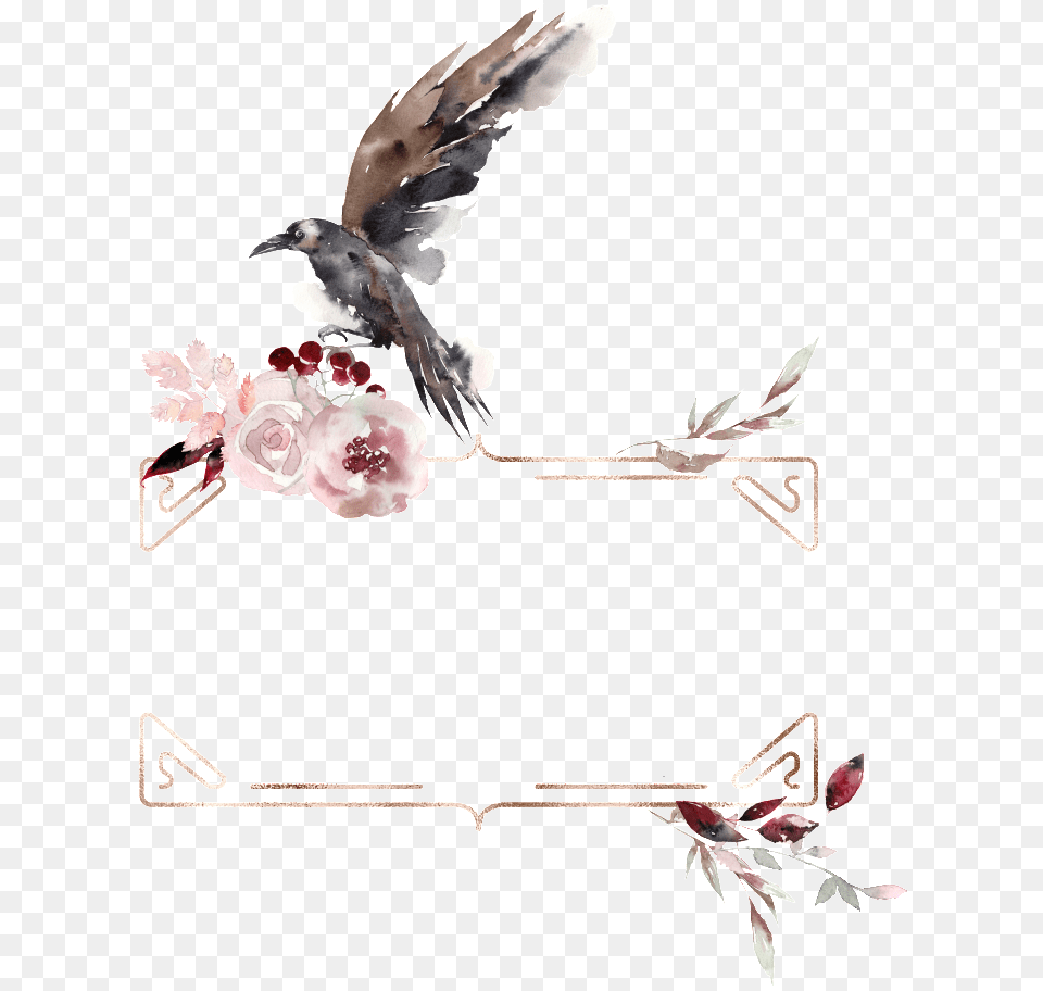 Creative Birds Design Material Watercolor Ink Wash Painting, Animal, Bird, Finch, Jay Free Transparent Png