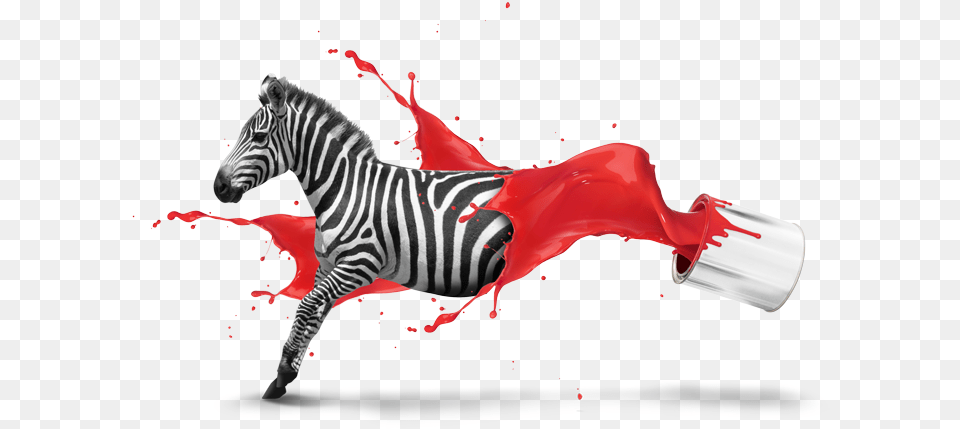 Creative Design Images, Animal, Mammal, Wildlife, Zebra Free Png Download
