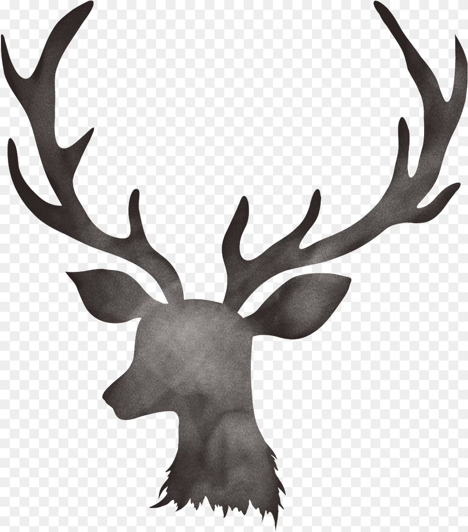 Creative Hand Painted Antler Element Floral Design On Deer, Animal, Mammal, Wildlife, Kangaroo Free Png