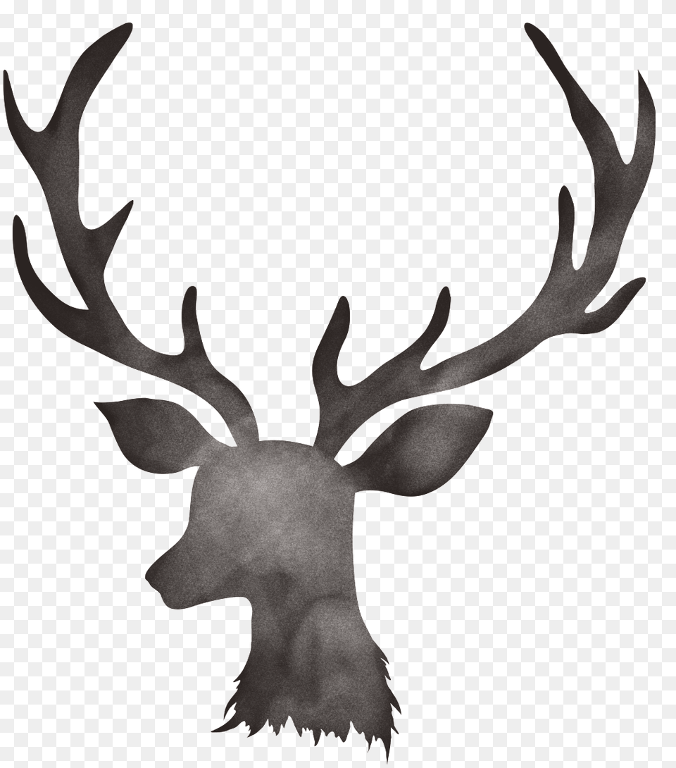 Creative Hand Painted Antler Element Free Download, Animal, Deer, Mammal, Wildlife Png Image