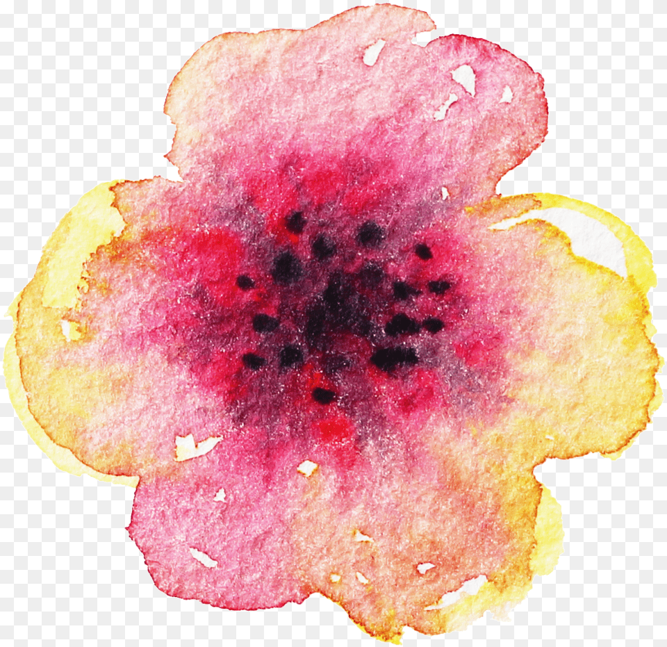 Creative Hand Painted Petal Decoration Vector California Wild Rose, Flower, Plant, Geranium, Anther Free Transparent Png