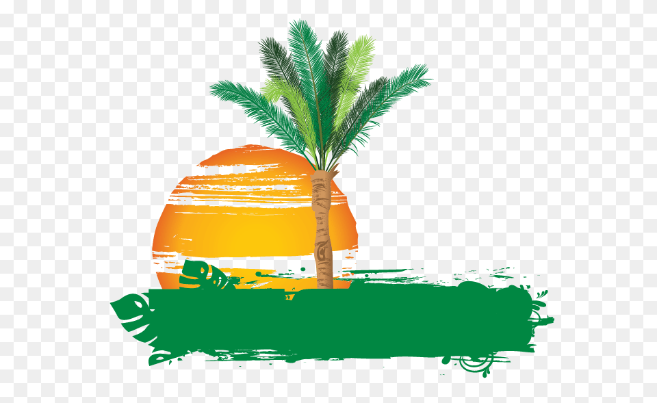 Creative Online Palm Tree Logo Design, Palm Tree, Plant, Vegetation, Outdoors Free Png