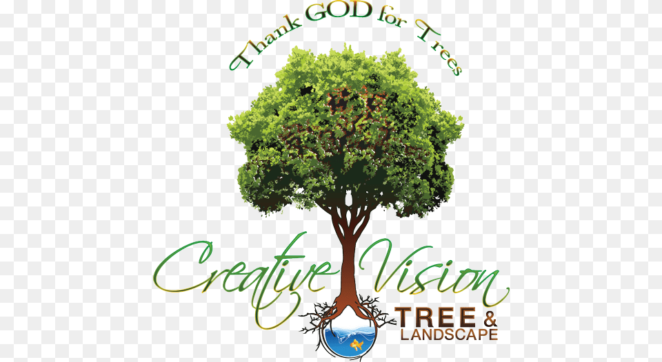 Creative Vision Tree Amp Landscape Services Logo Abstract Banner Background Svg, Vegetation, Plant, Oak, Sycamore Free Png Download