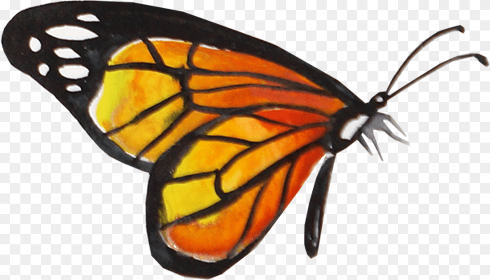 Creative Watercolor Butterfly Transparent Background Monarch Butterfly, Animal, Insect, Invertebrate, Spider Png Image
