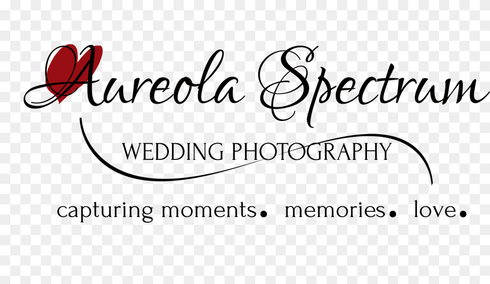 Creative Wedding Photographers In Monroe Nc Photographer, Nature, Night, Outdoors Free Png