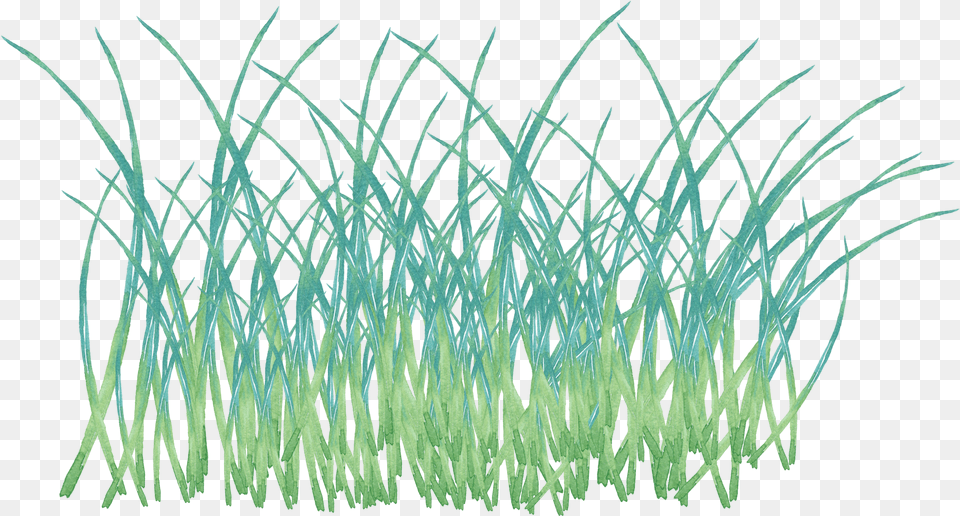 Creativity Watercolor And Psd Grass, Plant, Aquatic, Water, Vegetation Free Transparent Png