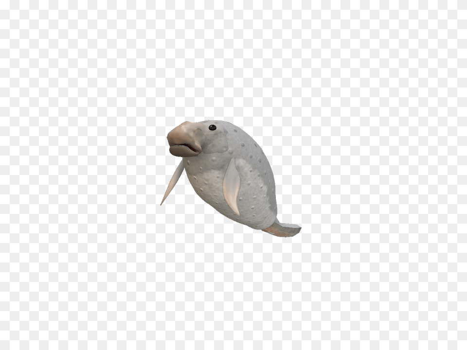 Creaturemanatee Sporewiki Fandom Powered, Animal, Bird, Beak, Mammal Png