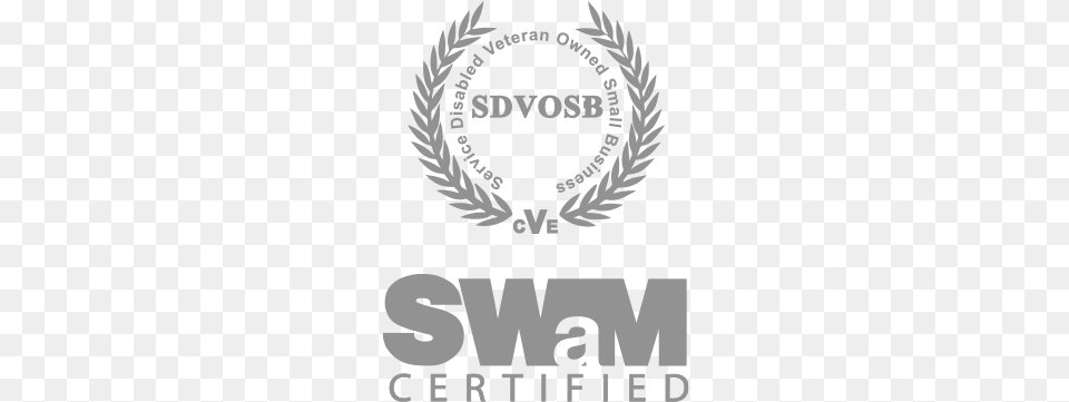 Credentials Swam And Sdvosb Sdvosb Logo, Emblem, Symbol, Adult, Male Png