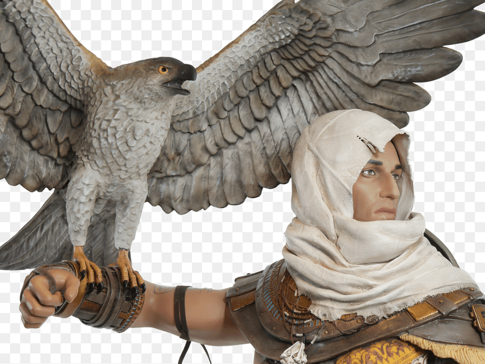 Creed Origins Assassin39s Creed Origins Hawk, Baby, Person, Face, Head Png Image