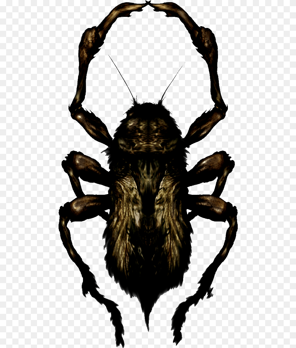 Creeper Creeper Silent Hill, Person, Animal, Invertebrate, Spider Free Png