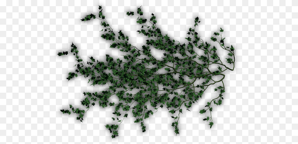 Creepers E Pattern, Green, Plant, Leaf, Vegetation Png Image