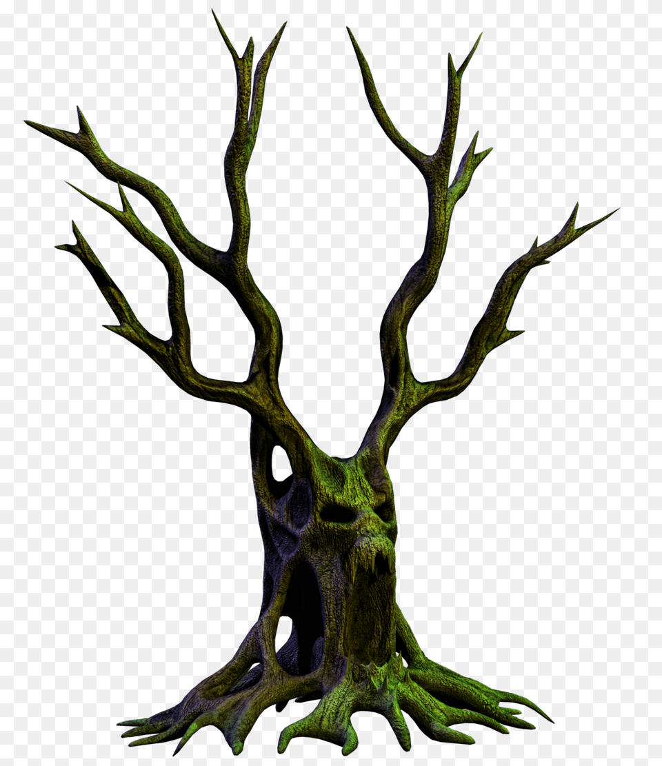 Creepy Scary Spooky Trees Vines Street Green Nature Fan, Plant, Antler Png Image