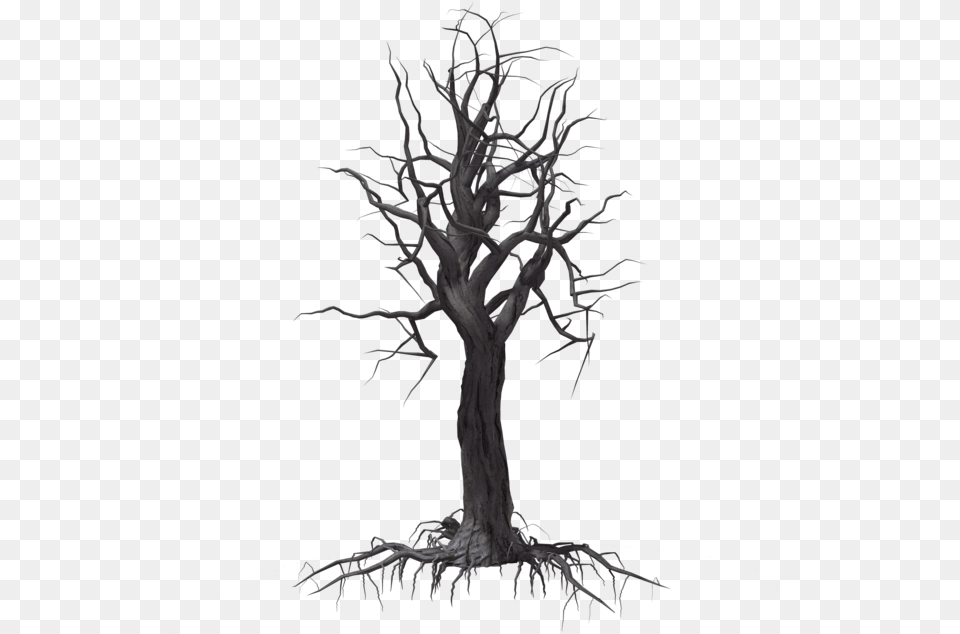 Creepy Tree 04 By On Clipart Library Mr Teters Treasure Book, Plant, Wood, Art, Drawing Png