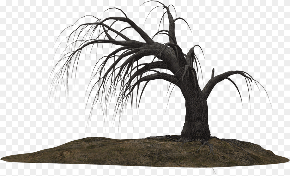 Creepy Tree 19 By On Clipart Library Dead Trees Drawing, Plant, Outdoors, Willow, Tree Trunk Free Png Download