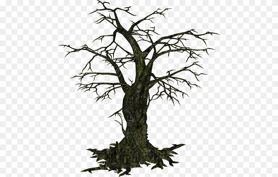 Creepy Tree, Plant, Potted Plant, Art Free Png