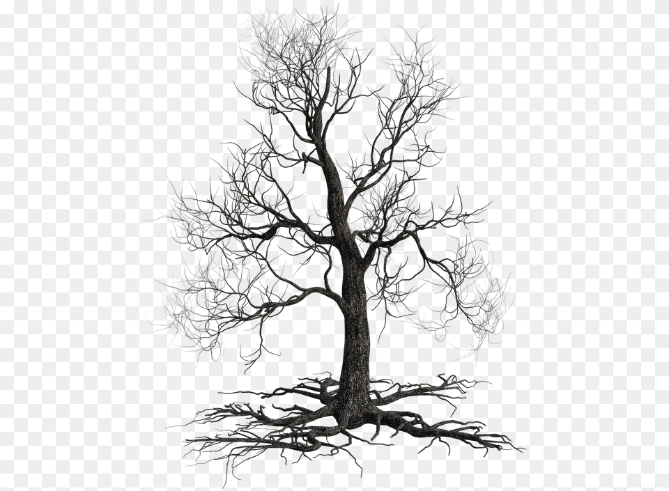 Creepy Tree Autumn Nature Creepy Tree, Plant, Potted Plant, Chandelier, Lamp Png Image