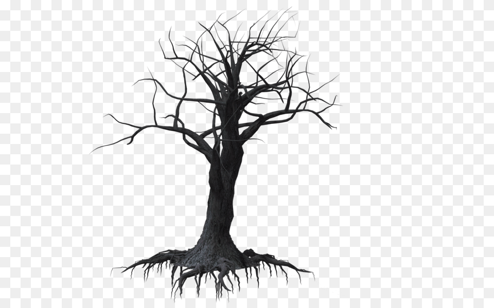 Creepy Tree Drawing Creepy Tree, Art, Plant Png