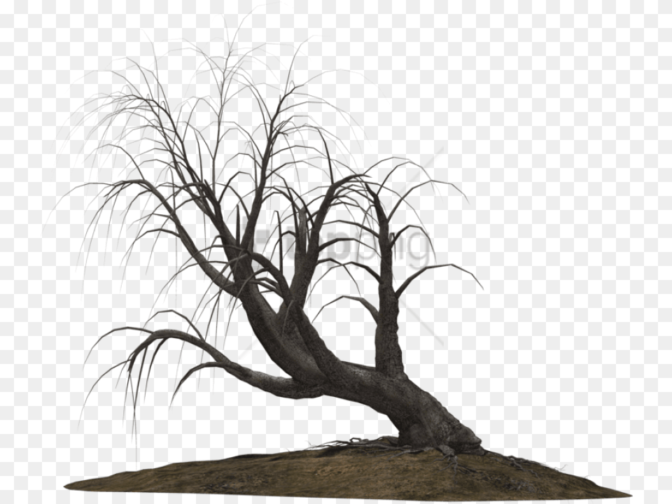 Creepy Trees Images Background Creepy Trees, Plant, Tree, Tree Trunk, Art Png Image