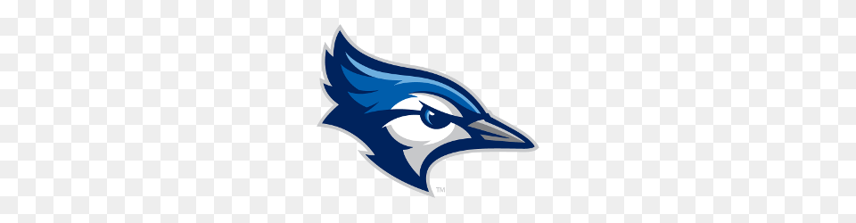Creighton Bluejays Alternate Logo Sports Logo History, Animal, Bird, Jay, Fish Free Png Download
