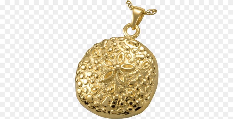 Cremation Jewelry Sand Dollar 14k Gold Cremation Jewelry Solid, Accessories, Pendant, Locket, Medication Free Transparent Png
