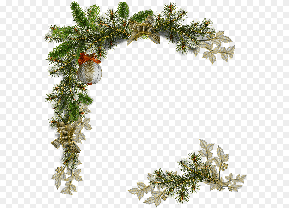 Crenguta De Brad, Plant, Wreath, Tree, Animal Png Image