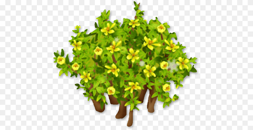 Creosote Bush Parsley, Leaf, Potted Plant, Herbal, Herbs Png