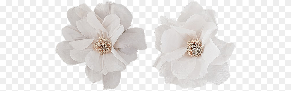 Crepe Paper Flower Decor Set Of 2 Crepe Paper Wall Flowers White, Anemone, Anther, Plant, Petal Png