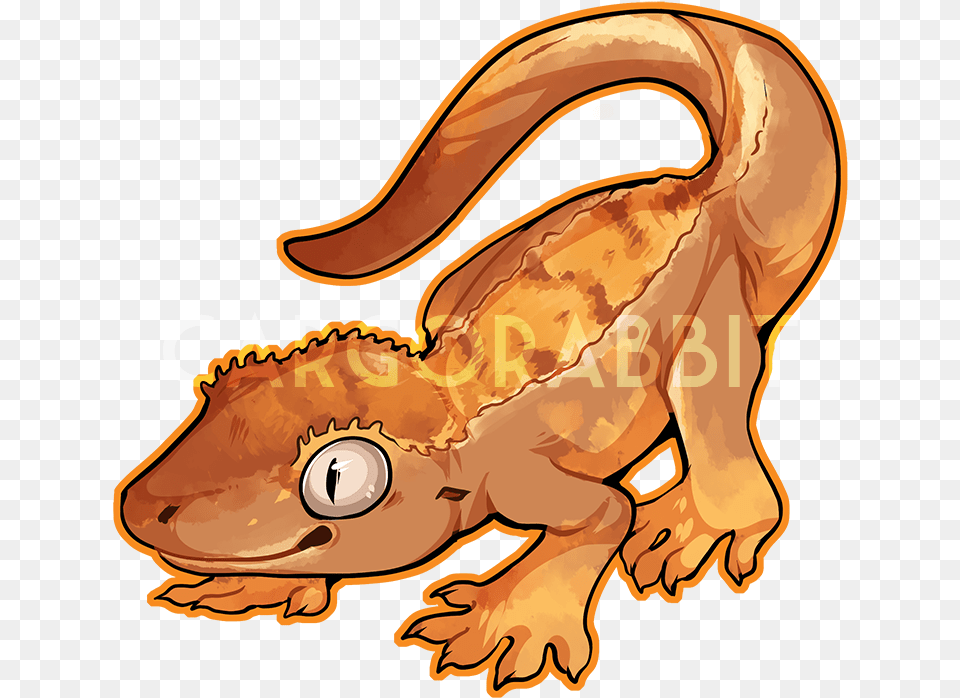 Crested Gecko Crested Gecko Clipart, Animal, Lizard, Reptile, Wildlife Png