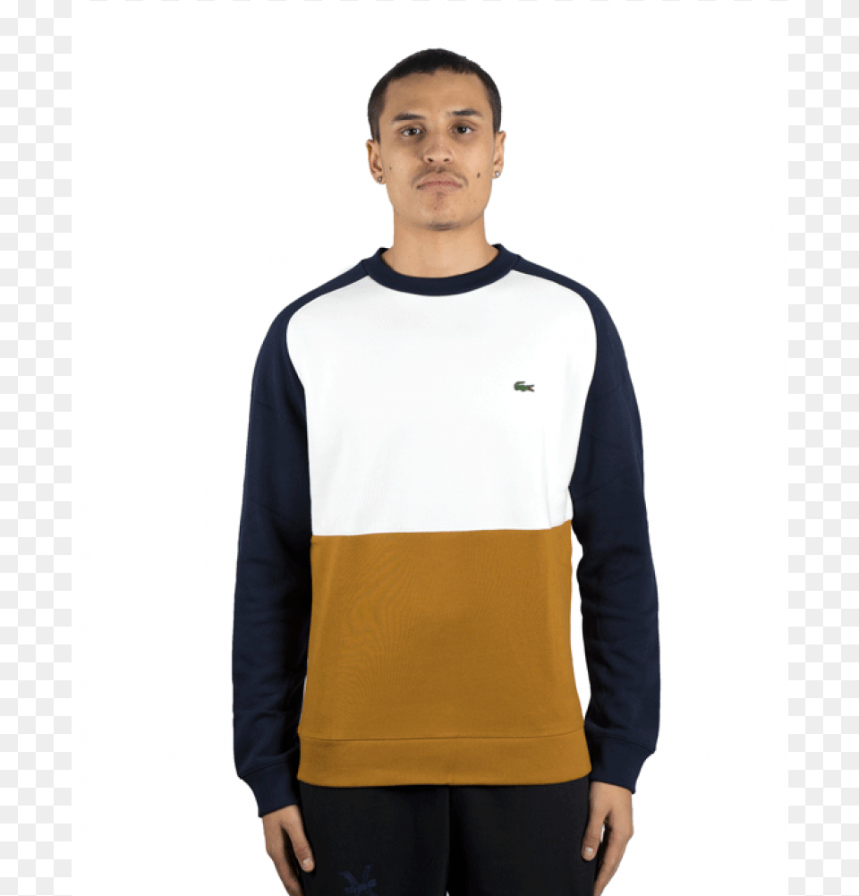 Crew Neck, Clothing, Long Sleeve, Sleeve, Knitwear Png