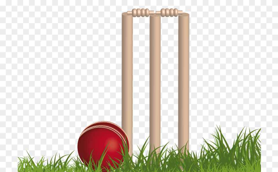 Cricket, Ball, Cricket Ball, Sport Png