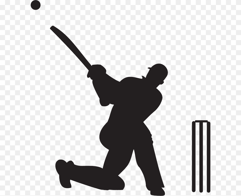 Cricket, Adult, Male, Man, Person Free Png