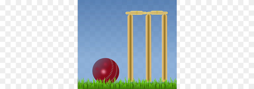 Cricket Ball, Cricket Ball, Sport, Grass Free Png Download