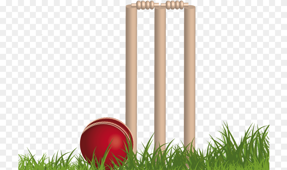 Cricket, Ball, Cricket Ball, Sport, Croquet Png