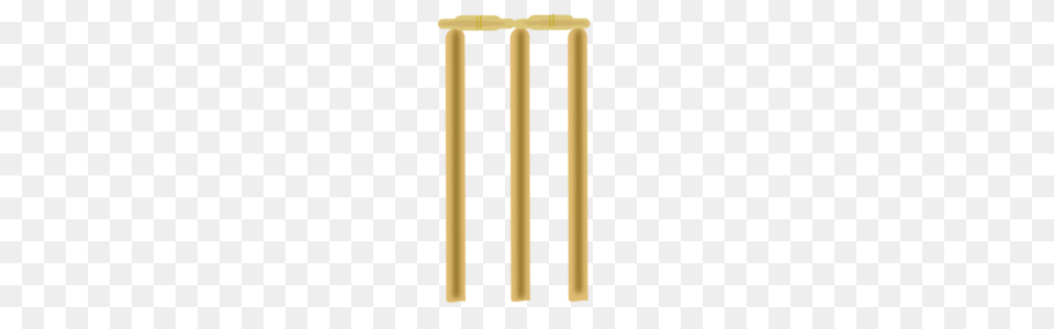 Cricket, Architecture, Pillar Png