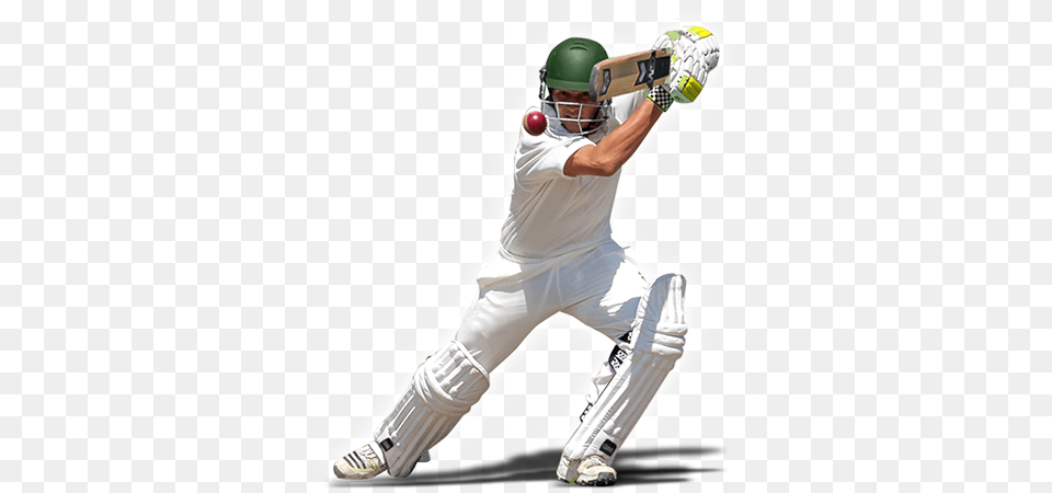 Cricket, Adult, Male, Man, Person Png