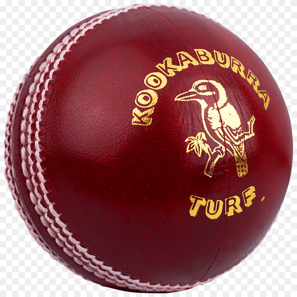 Cricket, Ball, Cricket Ball, Sport, Animal Free Png